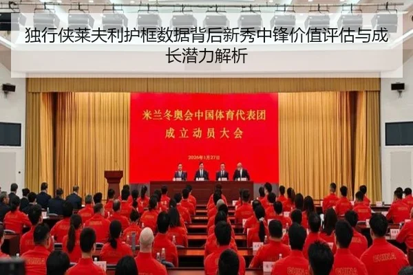 独行侠莱夫利护框数据背后新秀中锋价值评估与成长潜力解析